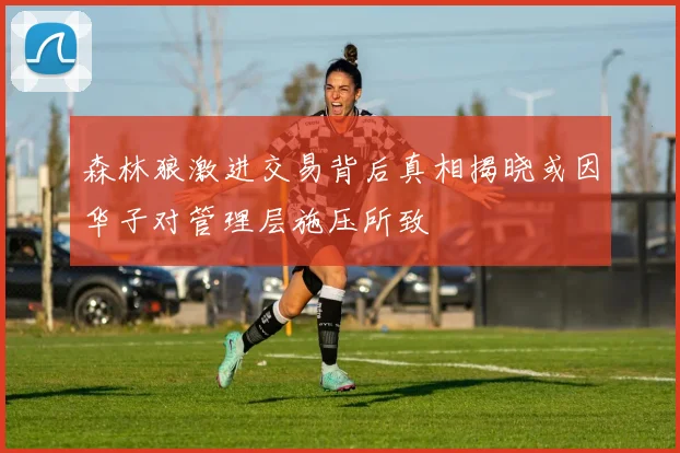 森林狼激进交易背后真相揭晓或因华子对管理层施压所致